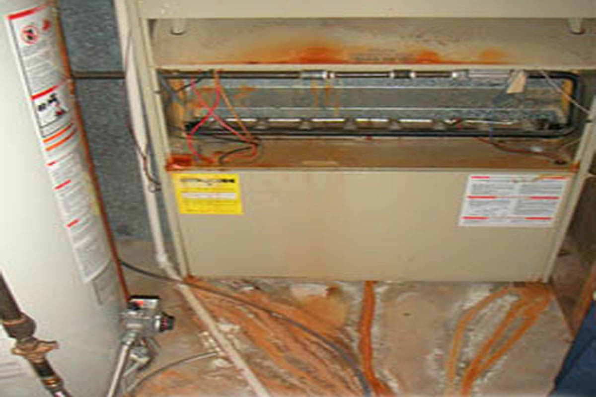 Defect Pics from inspections